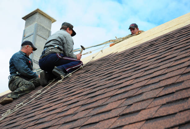 Best Metal Roofing Contractor  in Eufaula, OK